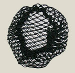 ��ǰ ������